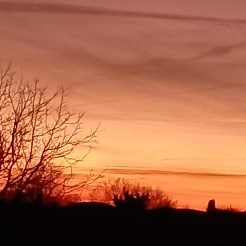 Fotosegnalazione di Oriolo romano