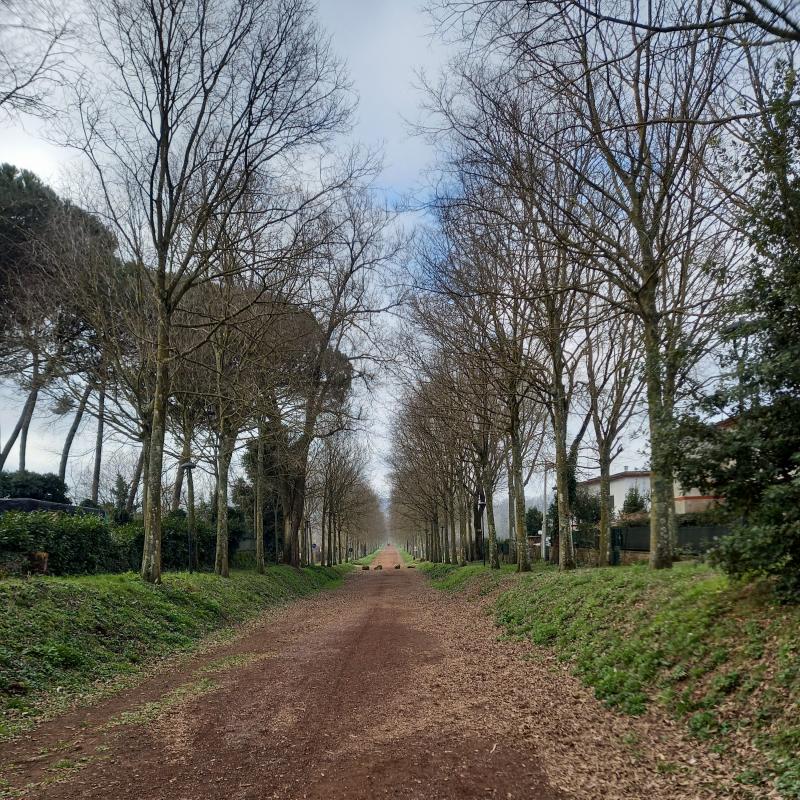 Fotosegnalazione di Oriolo romano