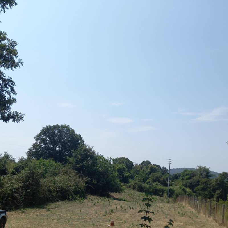Fotosegnalazione di Oriolo romano