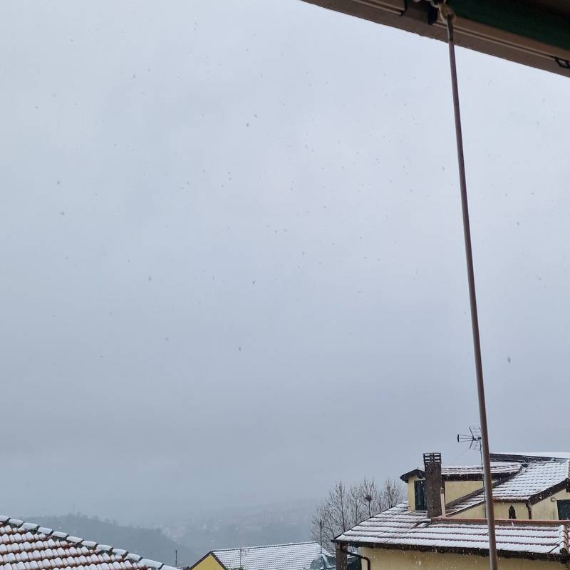 Fotosegnalazione di Melfi