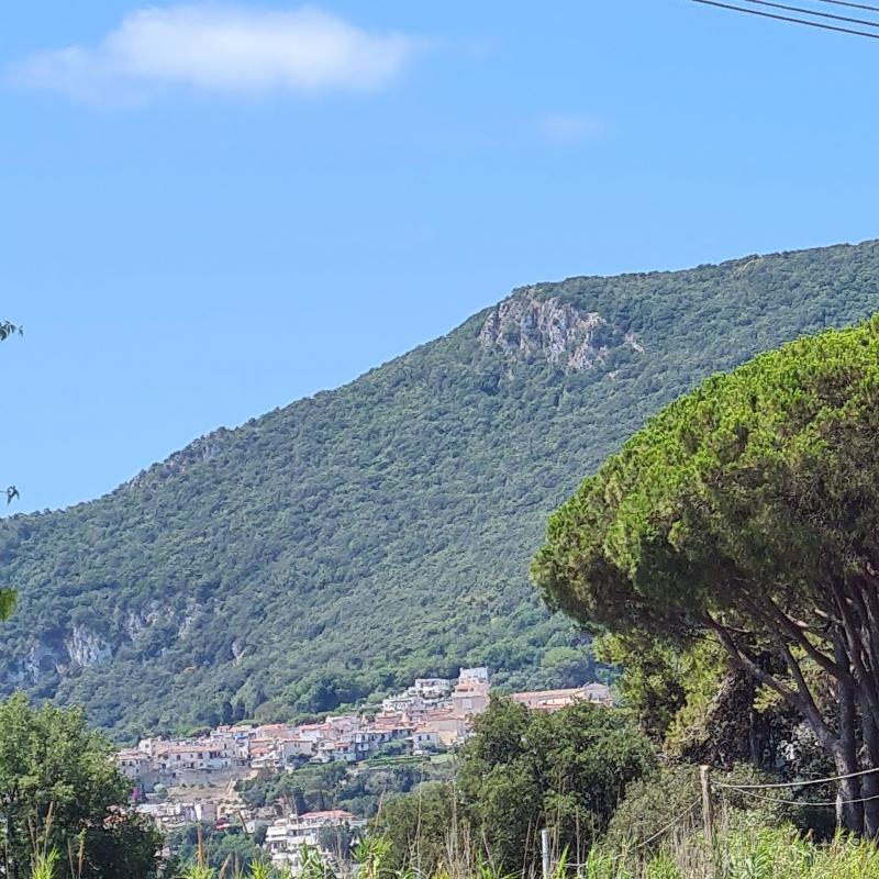 Fotosegnalazione di San felice circeo