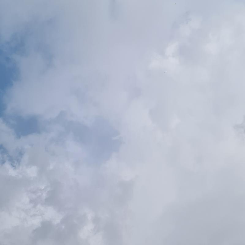 Fotosegnalazione di Grottaferrata