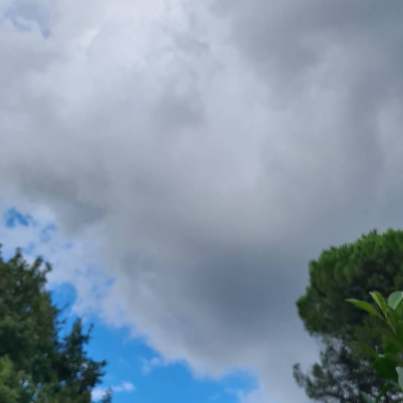Fotosegnalazione di Grottaferrata