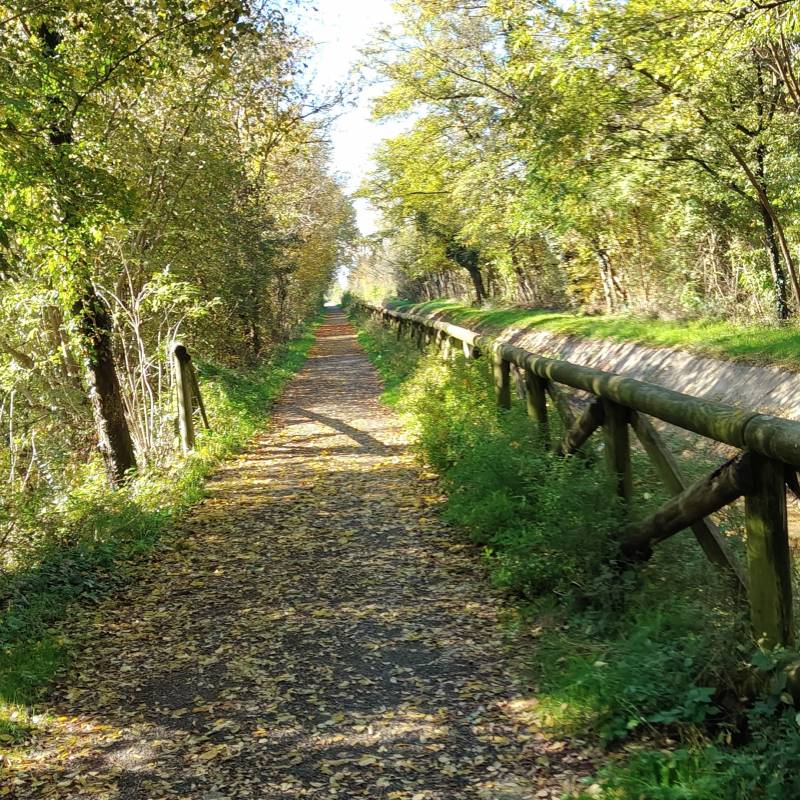 canale villoresi