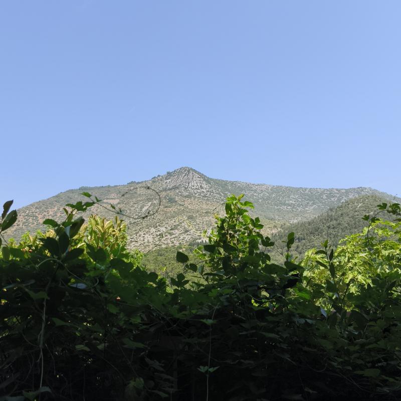 Monte penna