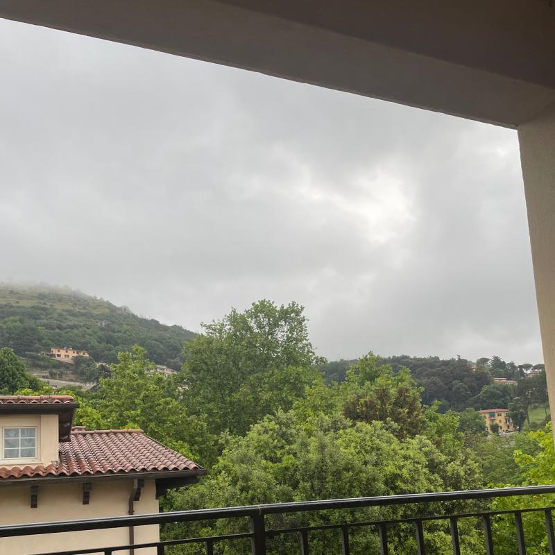 Fotosegnalazione di Palestrina