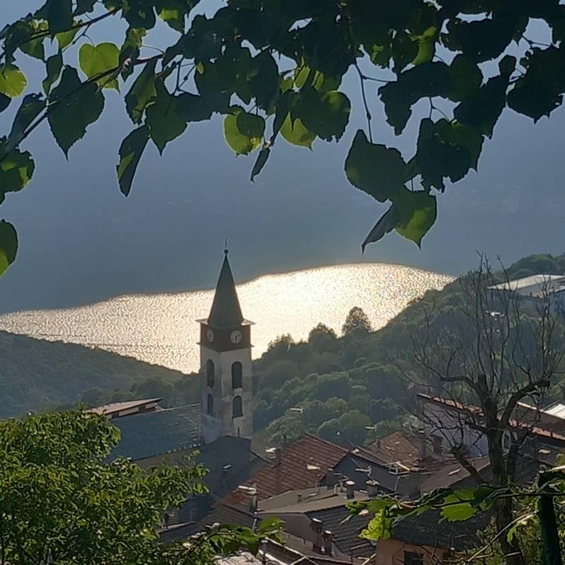 Veleso e i suoi colori