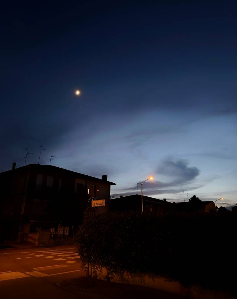 vigarano night