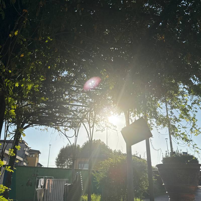 Fotosegnalazione di Montelupo fiorentino