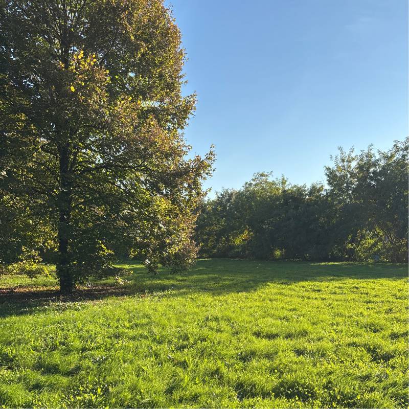 Fotosegnalazione di Prato centro