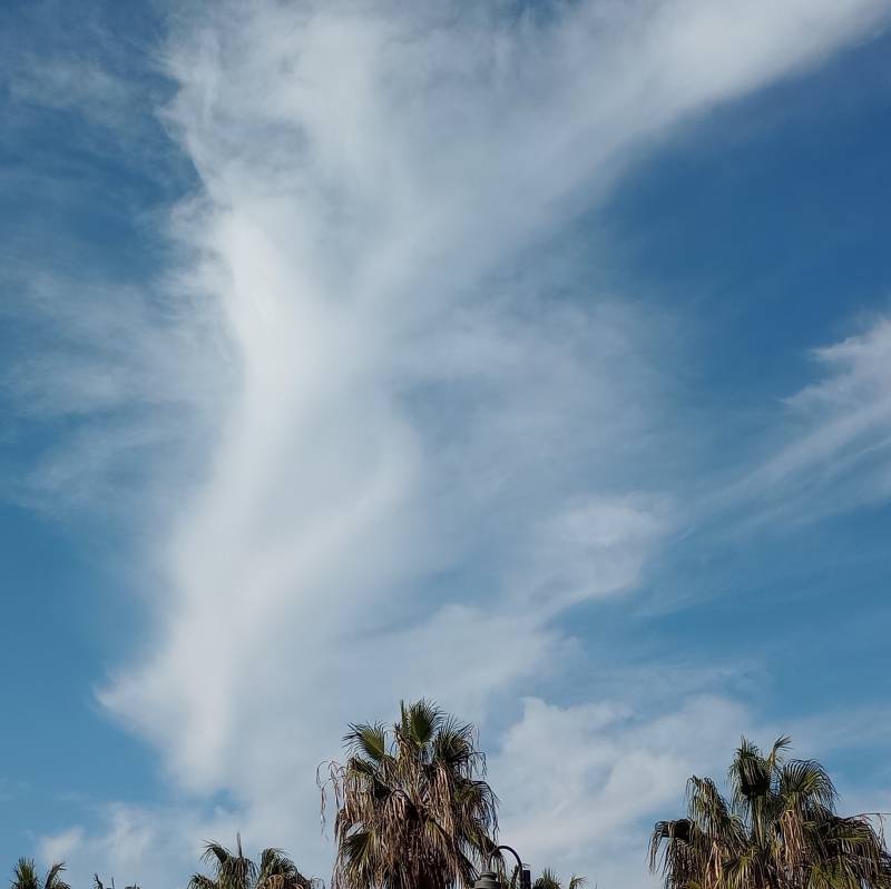 Fotosegnalazione di Isola delle femmine