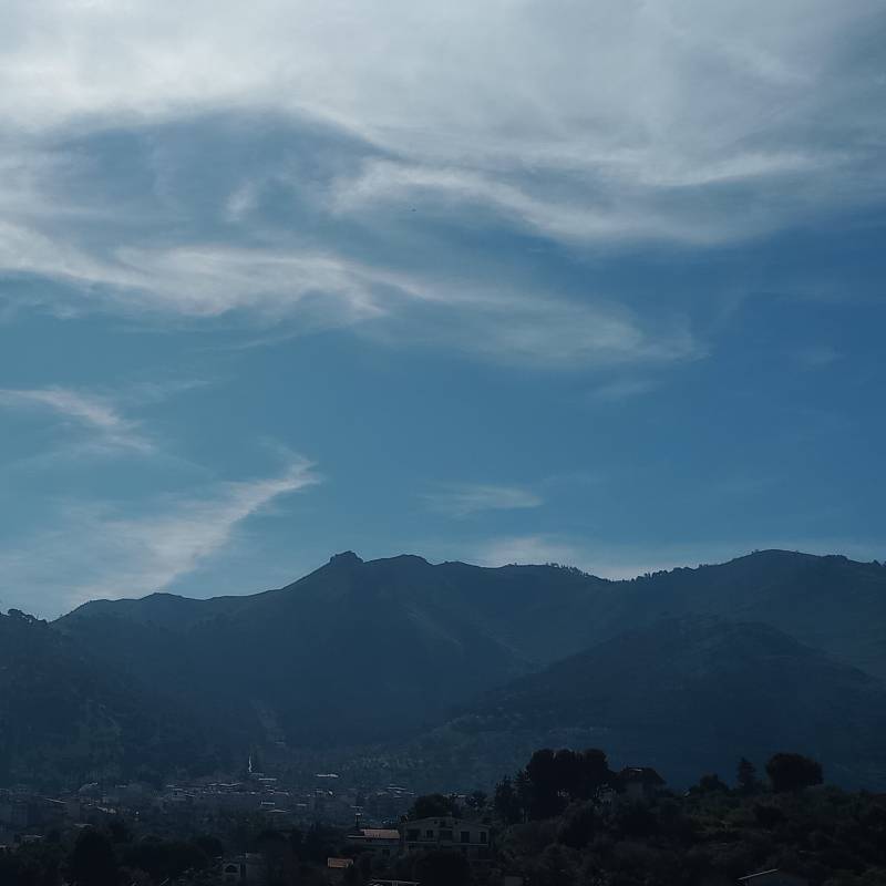 Fotosegnalazione di Palermo mezzomonreale - villa tasca