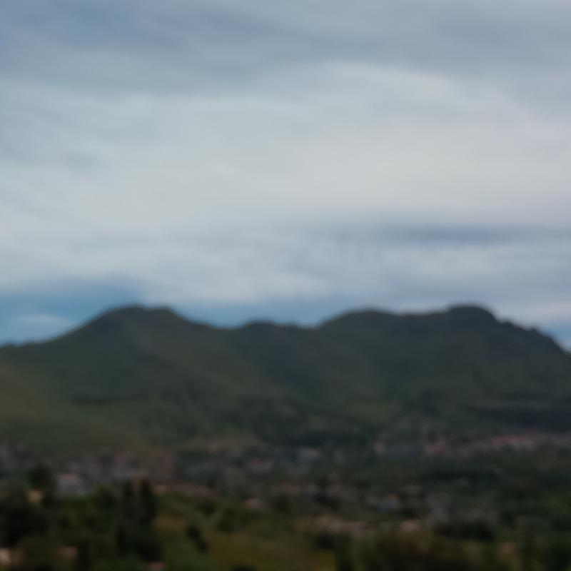 Fotosegnalazione di Palermo mezzomonreale - villa tasca