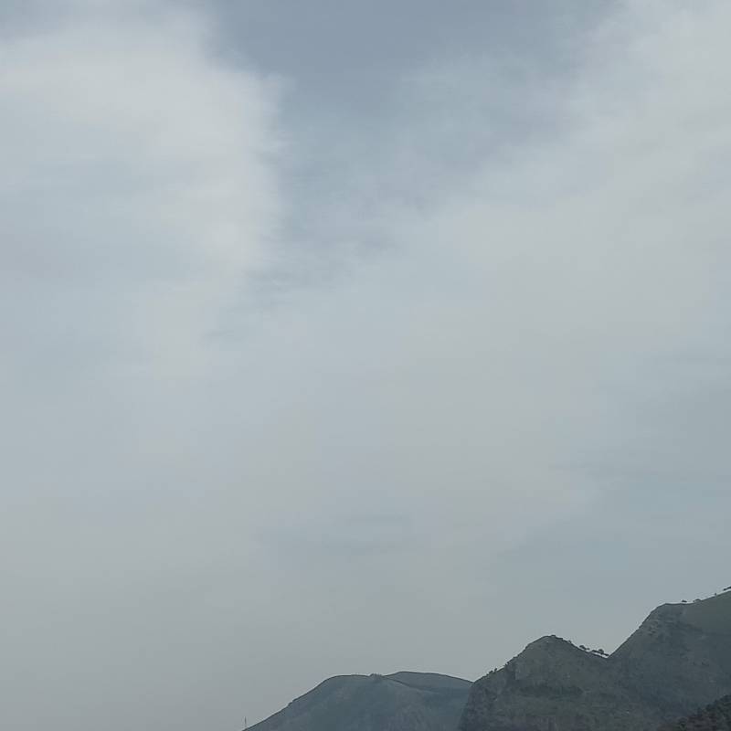 Fotosegnalazione di Palermo mezzomonreale - villa tasca