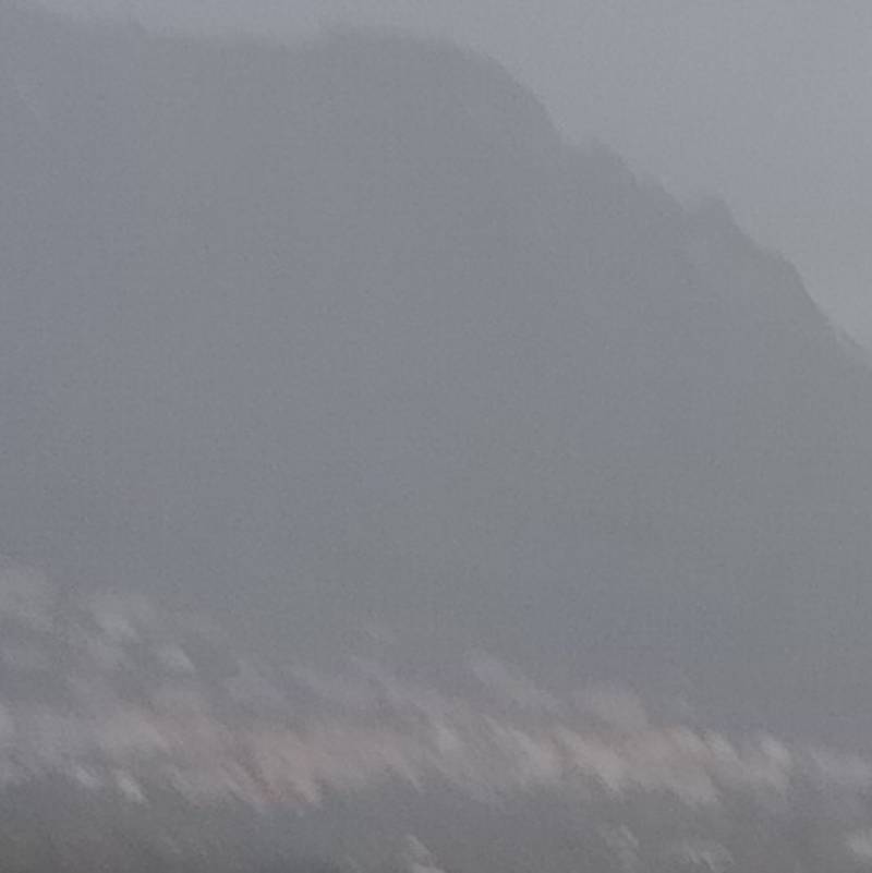 Fotosegnalazione di Palermo mezzomonreale - villa tasca
