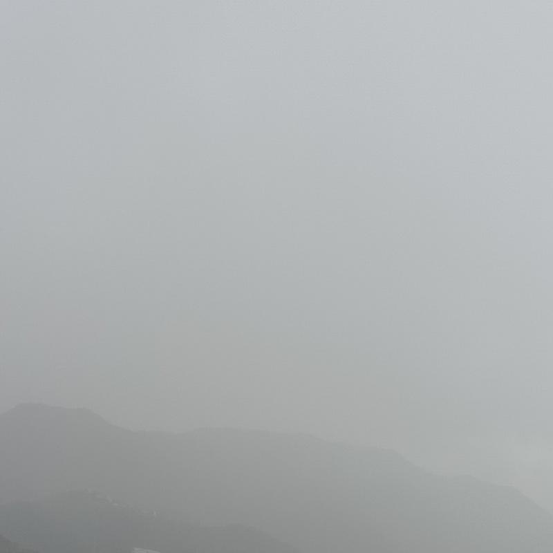 Fotosegnalazione di Palermo mezzomonreale - villa tasca