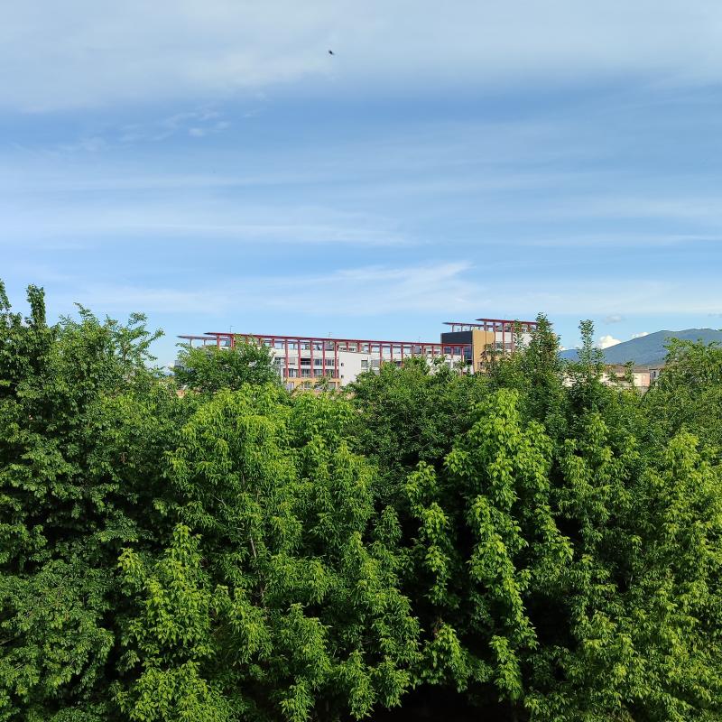 Fotosegnalazione di Brescia lamarmora