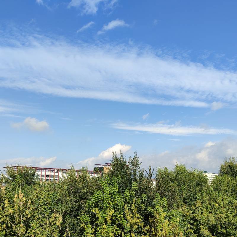 Fotosegnalazione di Brescia lamarmora