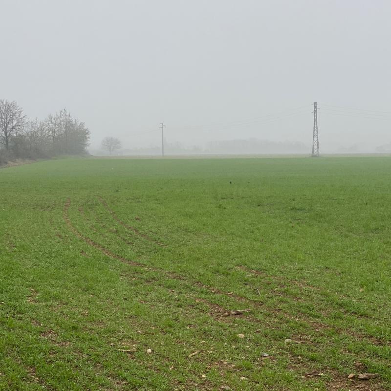 Fotosegnalazione di Desio