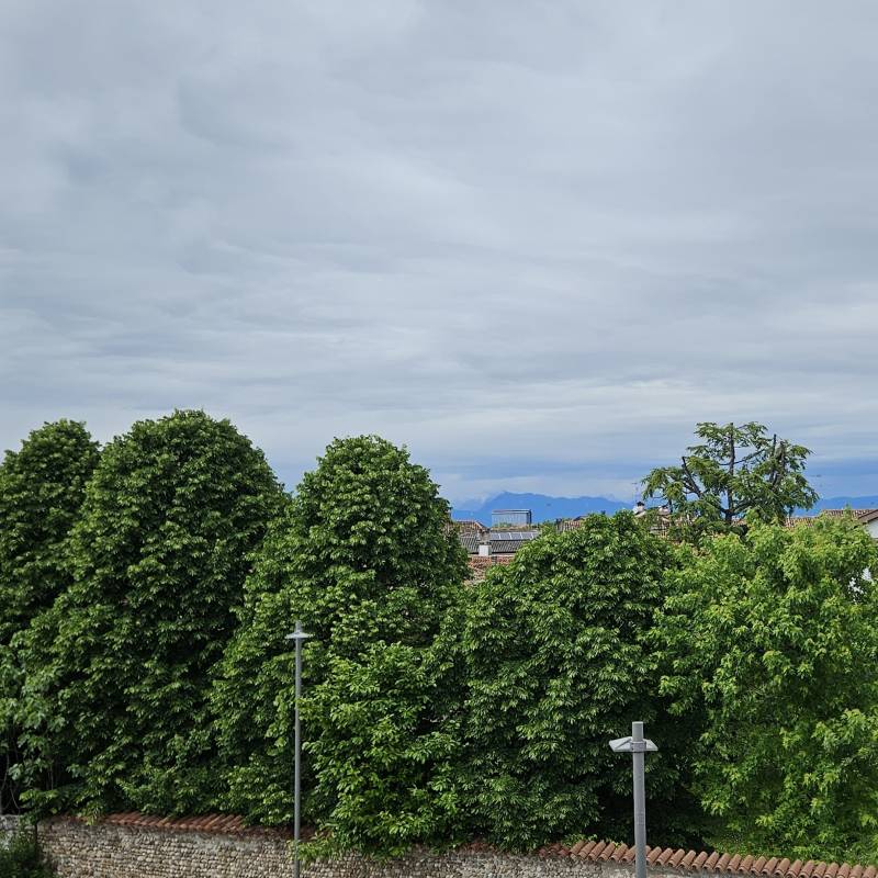 Fotosegnalazione di Bertiolo