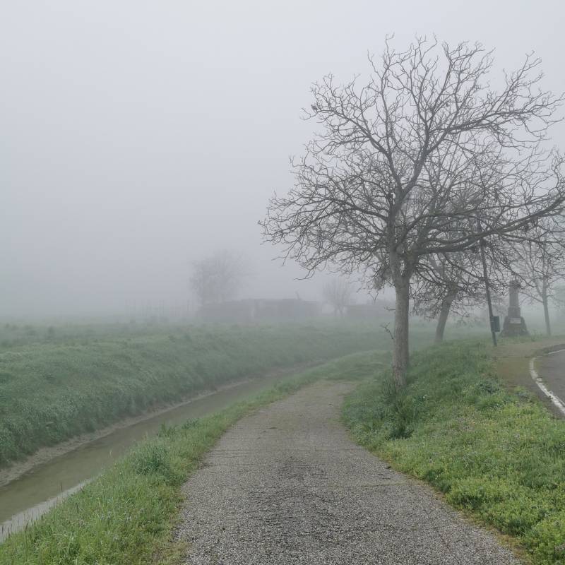 Nebbia a Camponogara