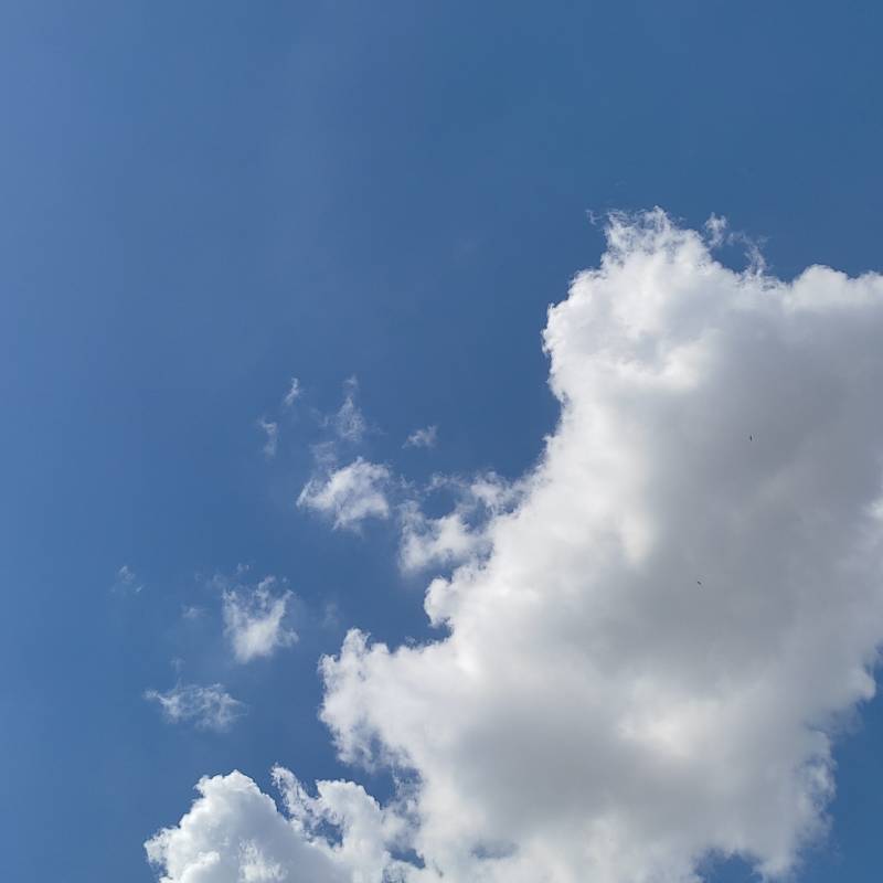 Fotosegnalazione di Roma sant'eustachio