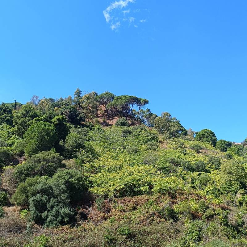 Splendida giornata