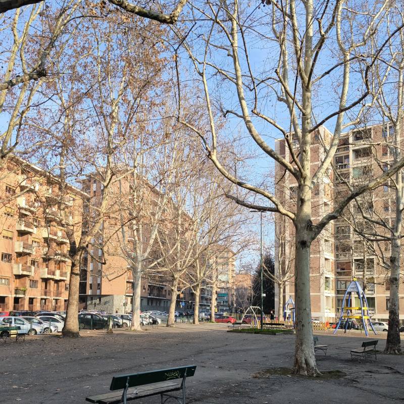 Fotosegnalazione di Torino santa rita