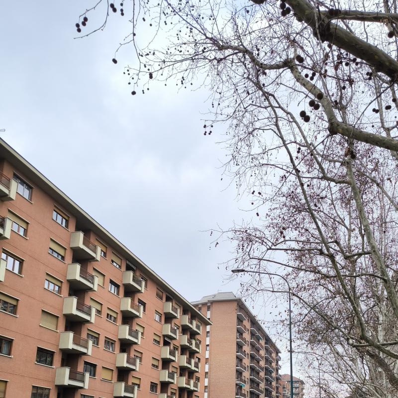 Fotosegnalazione di Torino santa rita