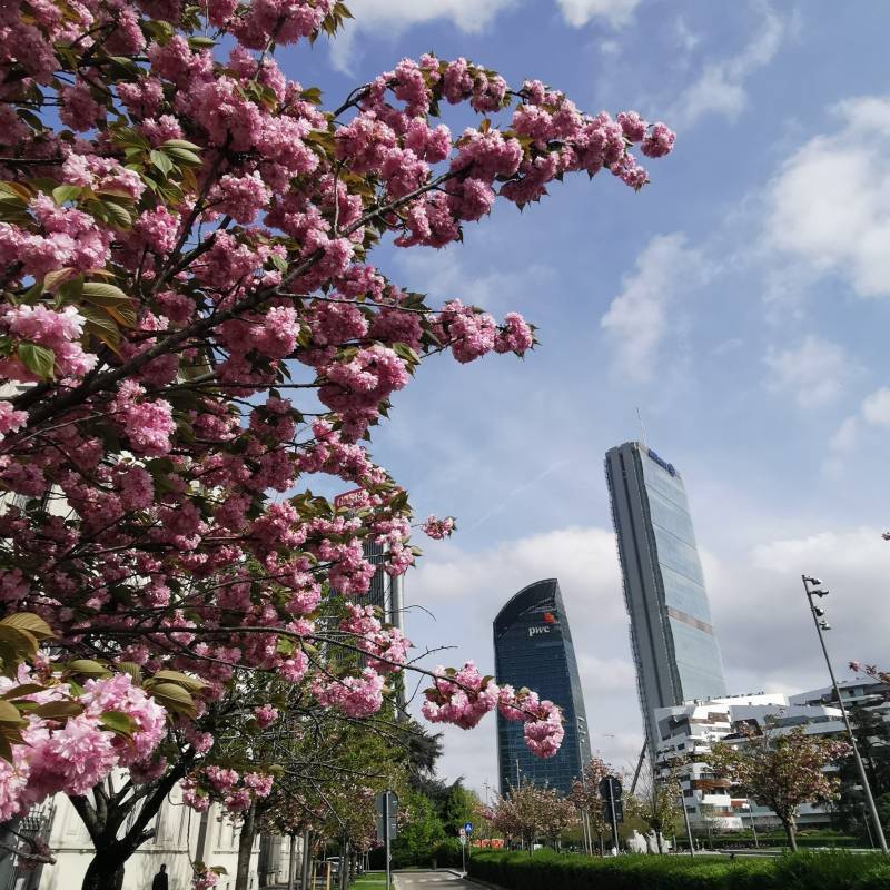 Fotosegnalazione di Milano tre torri