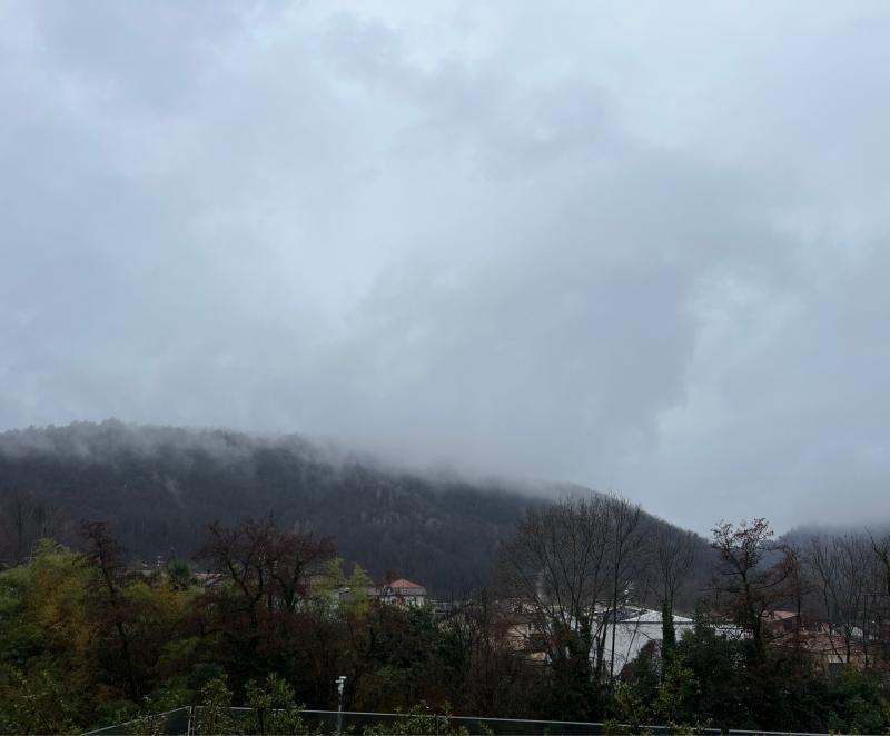 Fotosegnalazione di Lipomo