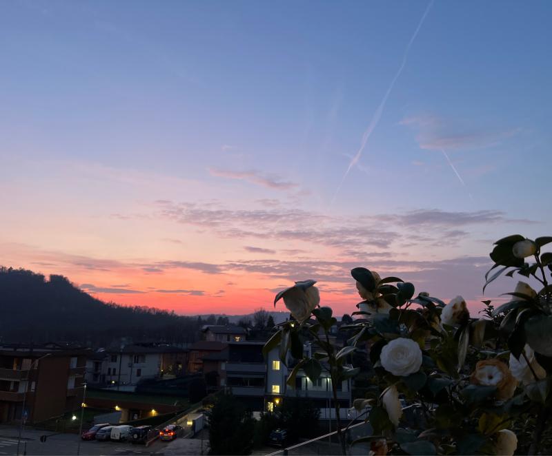 Fotosegnalazione di Lipomo