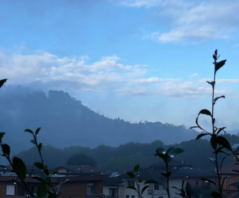 Fotosegnalazione di Lipomo