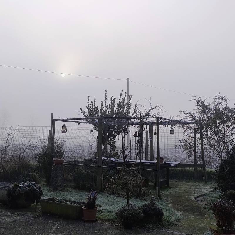 la nebbia di oggi