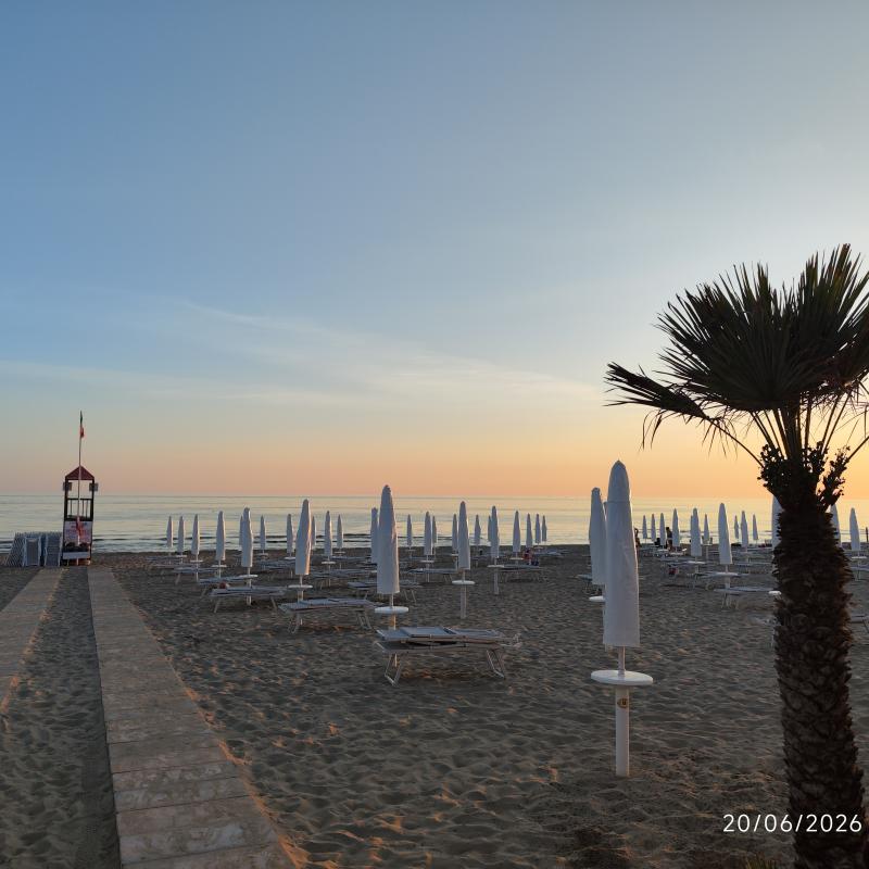 Fotosegnalazione di Ardea