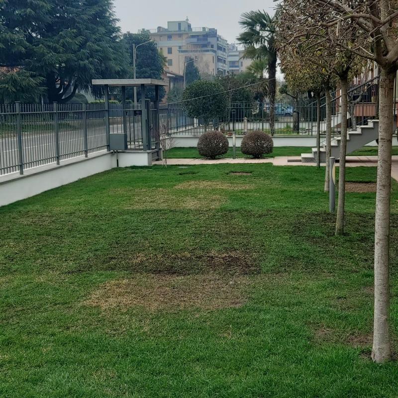 Fotosegnalazione di Magenta
