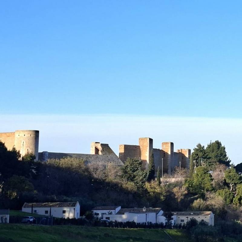 Lucera bella