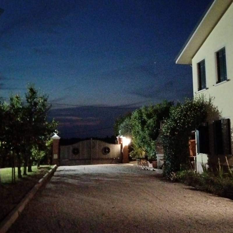 Fotosegnalazione di San giorgio in bosco