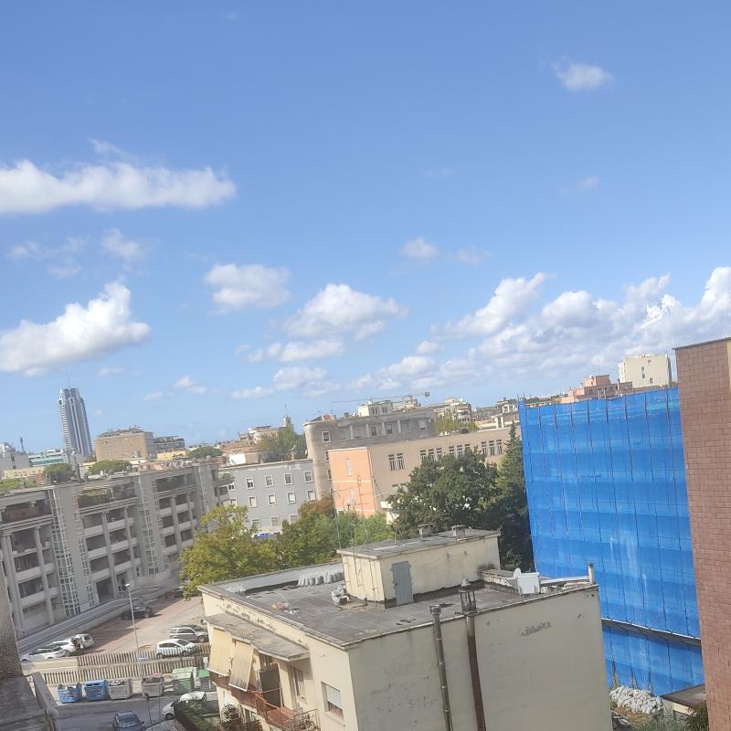 Fotosegnalazione di Latina centro urbano
