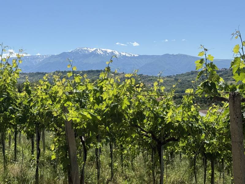 dalla verde pianura lancianesetra una vigna e laltrasua maesta'la majella