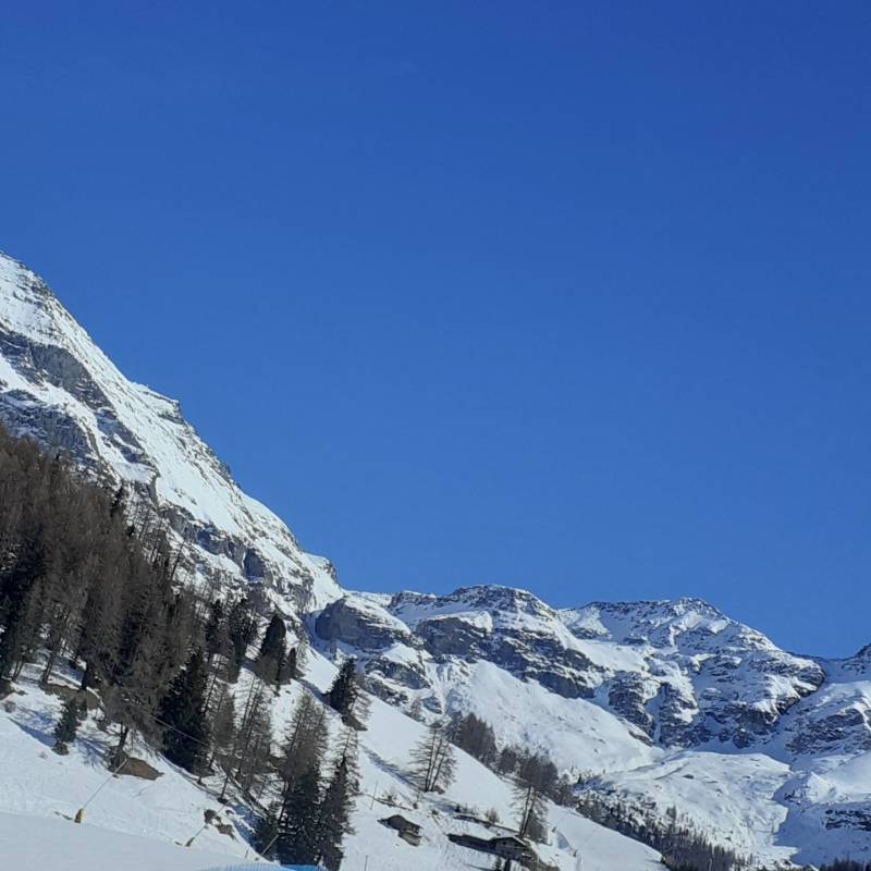 Fotosegnalazione di Crest