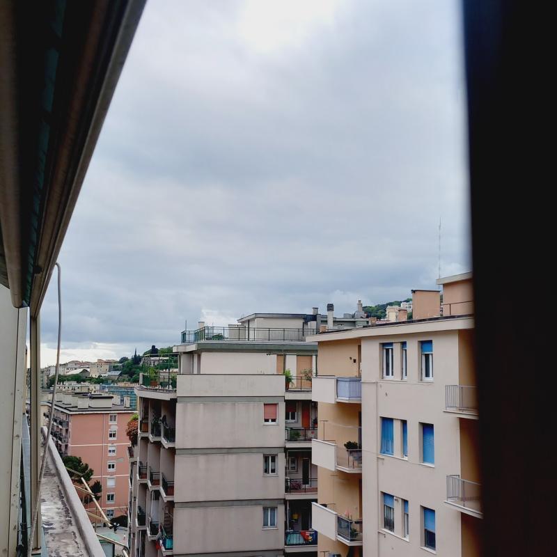 Fotosegnalazione di Genova centro