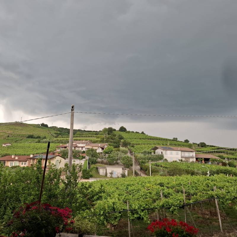 Fotosegnalazione di Monteforte d'alpone