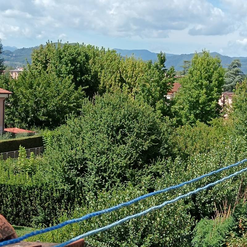 Fotosegnalazione di Lucca centro urbano