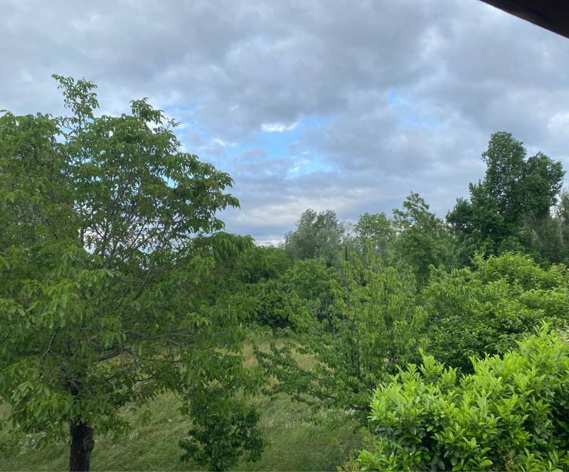 Fotosegnalazione di San zenone degli ezzelini