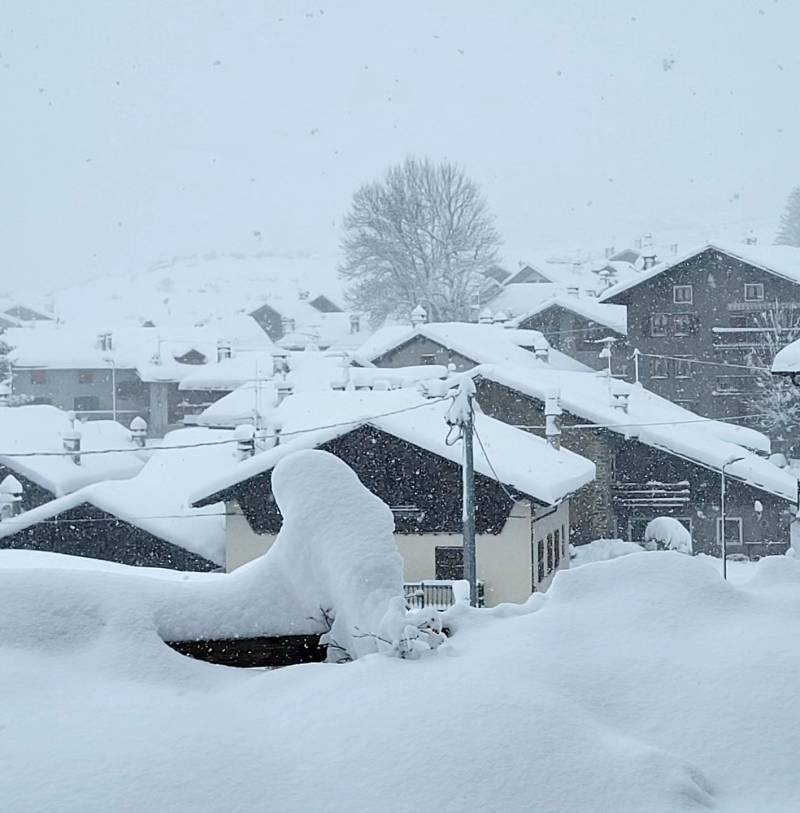 cogne