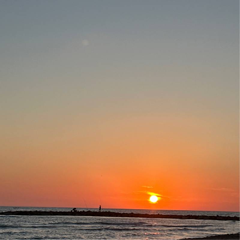 Fotosegnalazione di Anzio