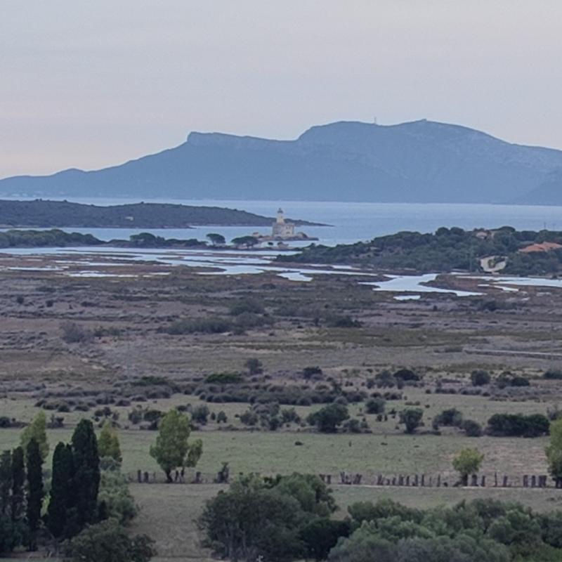 Faro di olbia