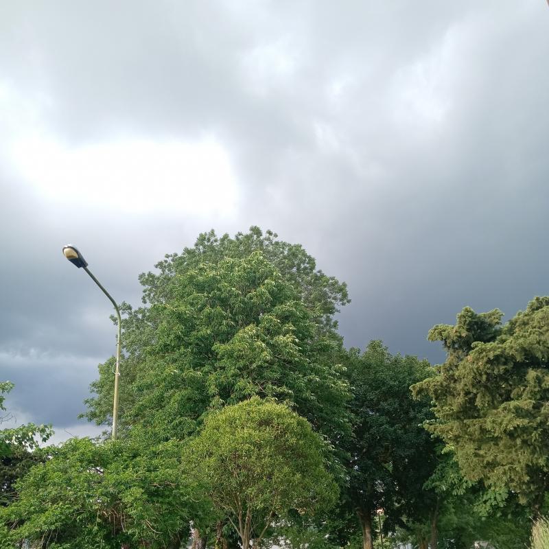 Parzialmente nuvoloso