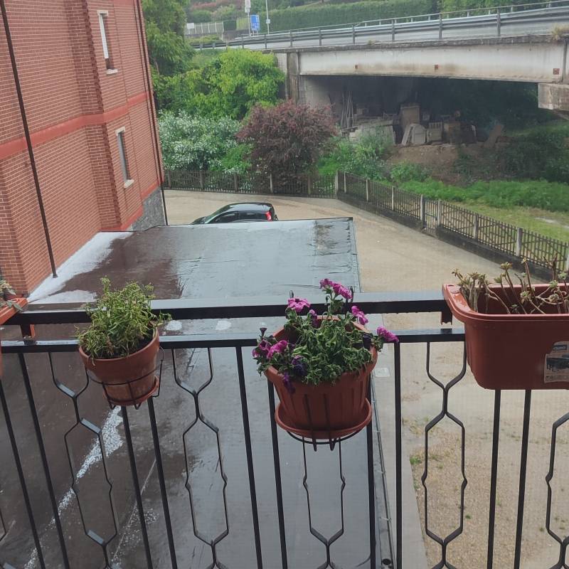 Fotosegnalazione di Canale